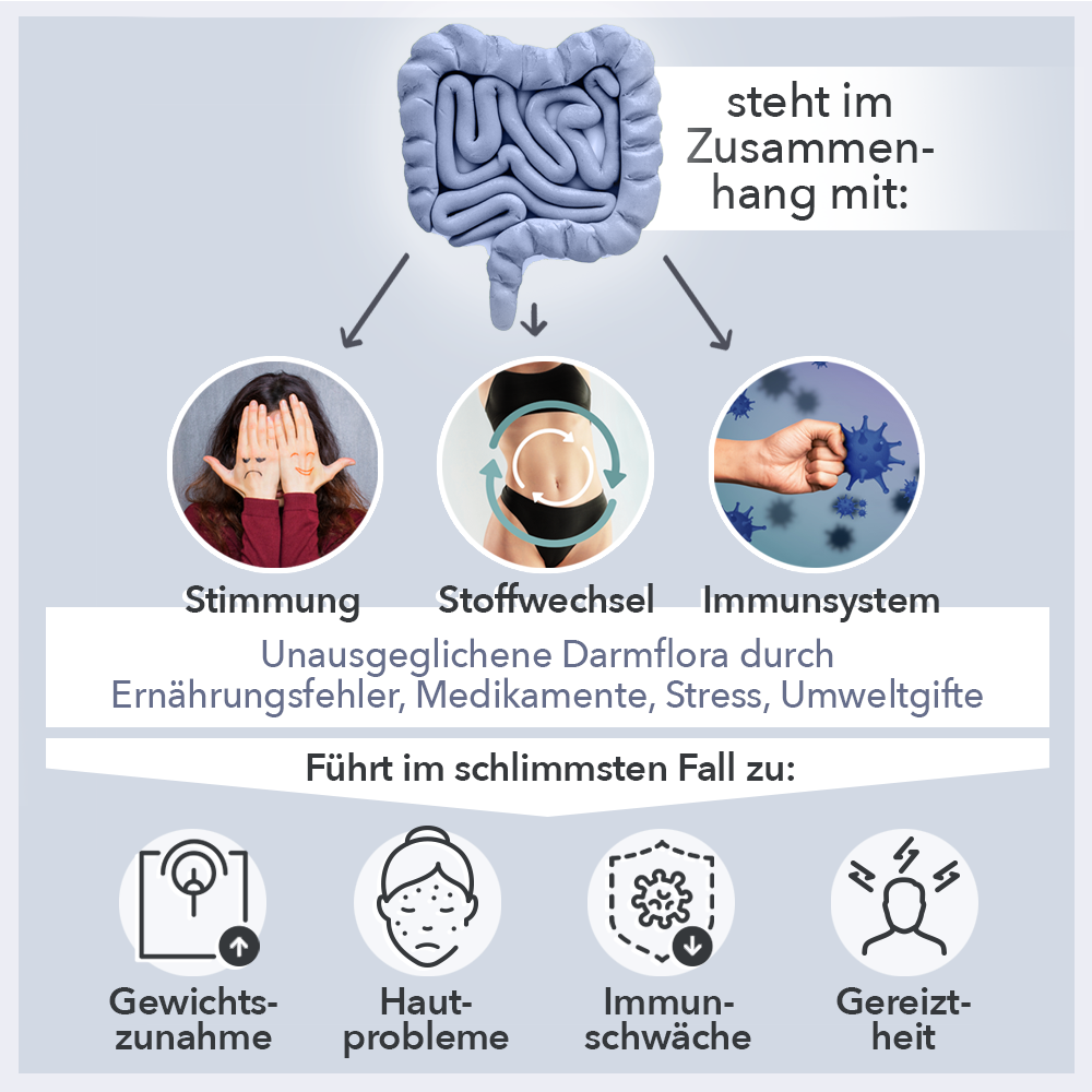 Darm Zusammenhänge
